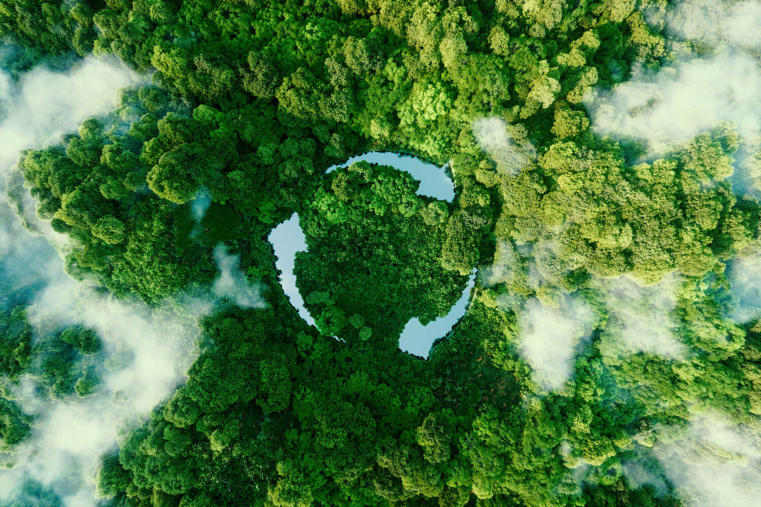 sustainability image