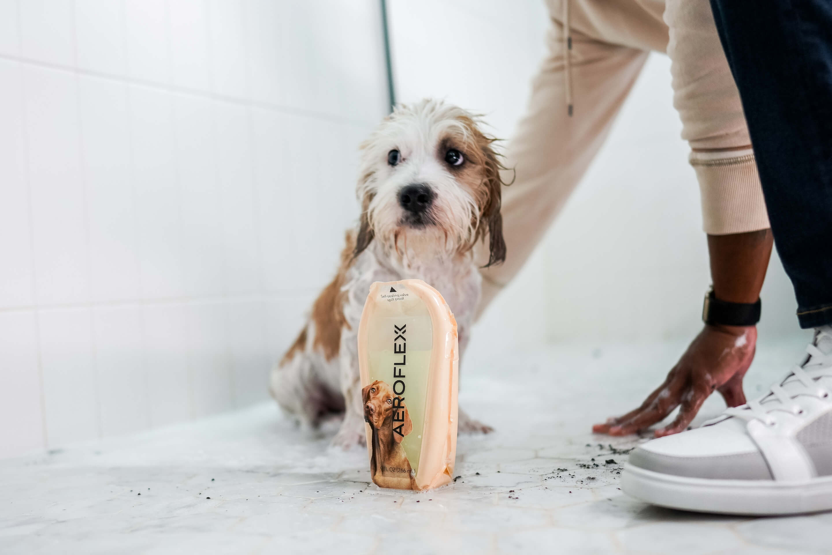 Small wet dog in a bathroom with an AeroFlexx bottle and a person kneeling nearby.